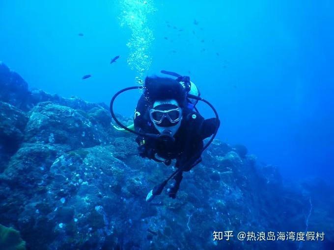 年薪百万，跳楼自杀：中国最暴利的产品，为何“逼死”90后天才？